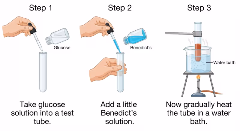 Identifying glucose with Benedict's solution