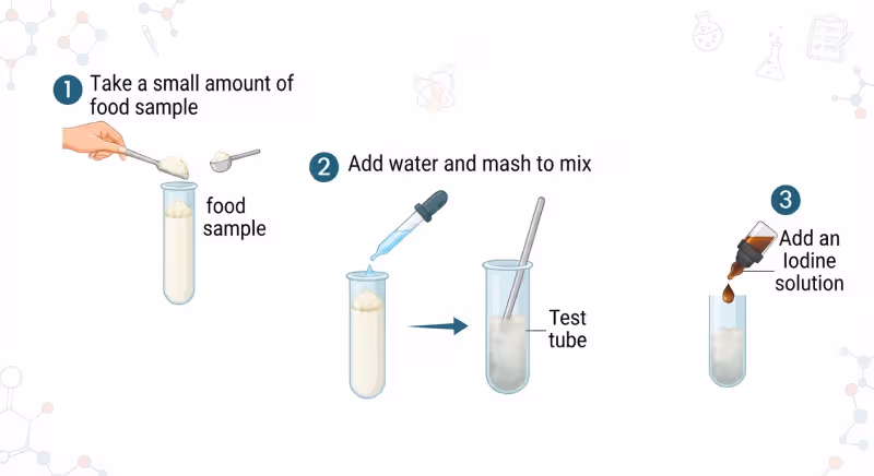 Identifying starch with iodine solution